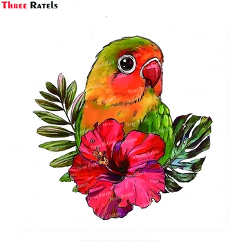 Tri Ratels K10 Krásne Modré Žlté Papagáj Papagáje Tropické Obtlačky A Nálepky Na Notebook, Auto Telo Dekorácie Materiál Vinyl