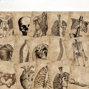56 Kusy Európskych a Amerických Retro Anatómie Ľudského Skeletu Nálepky Telefón Prípade Strane Ledger Dekoratívne a Nepremokavé